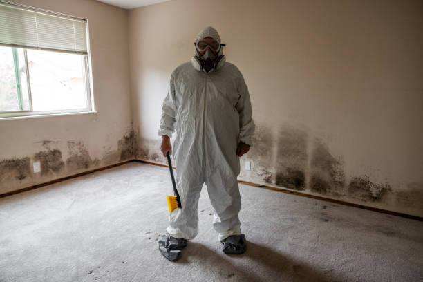 Best Certified Mold Removal  in Sumas, WA
